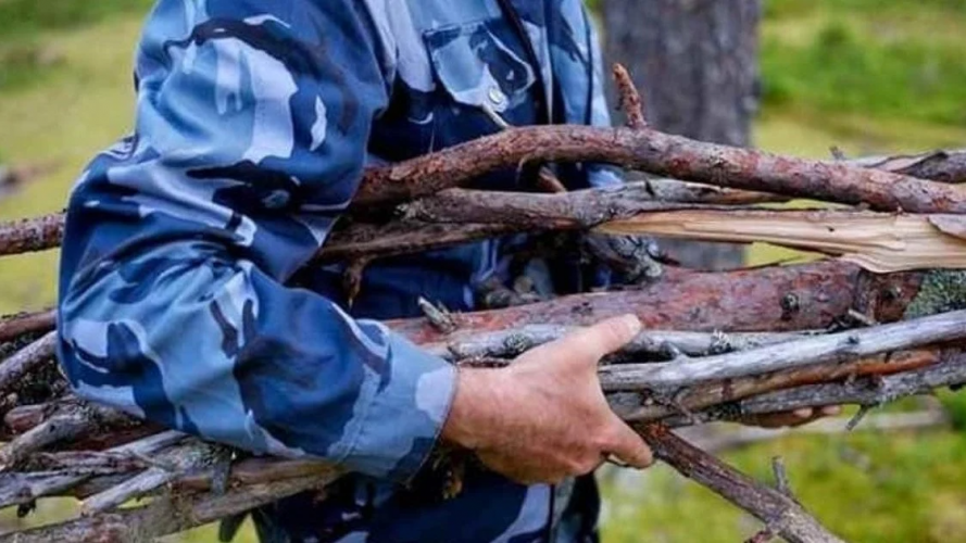 На Волині селянин пішов у ліс по дрова й отримав 17 тисяч гривень штрафу