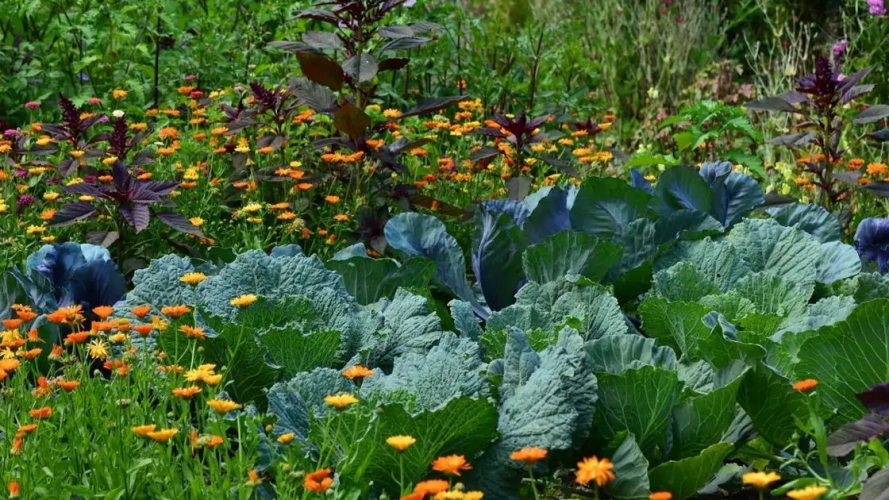 Що посадити до Великодня для гарного врожаю: не проґавте ці дні