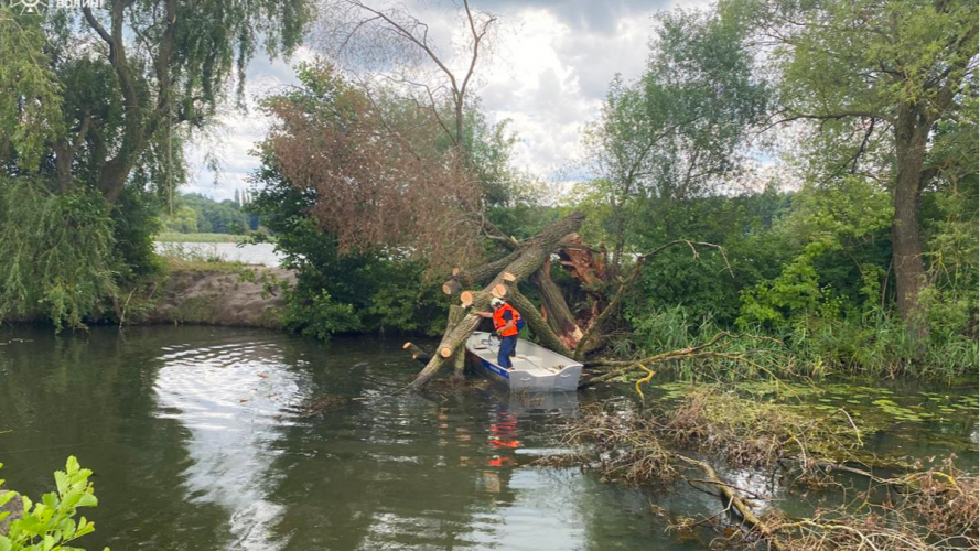 Біля Луцька в річку впало дерево 