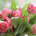 З 8 Березня 2026: небанальні привітання у картинках, в прозі та віршах до Міжнародного жіночого дня