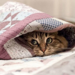 погода в україні 21 березня