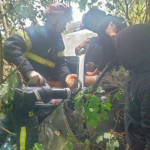 У Луцькому районі рятувальники визволяли водія з авто після аварії