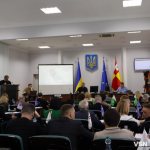 Майже 3 мільйони доларів за шанс на життя: луцькі депутати звернулися до держави