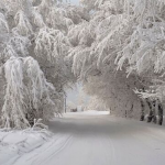 Прогноз погоди з 19 по 25 січня