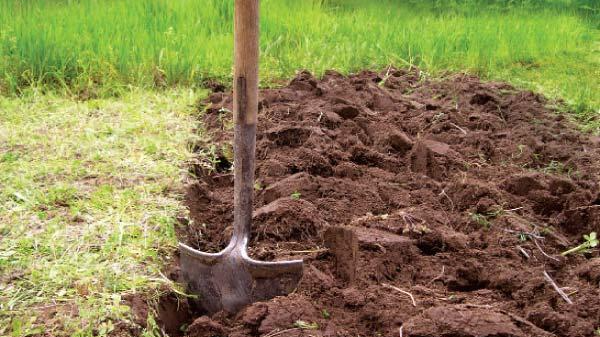 Провідна седмиця: чи можна працювати на городі у другий тиждень після Великодня чи це гріх