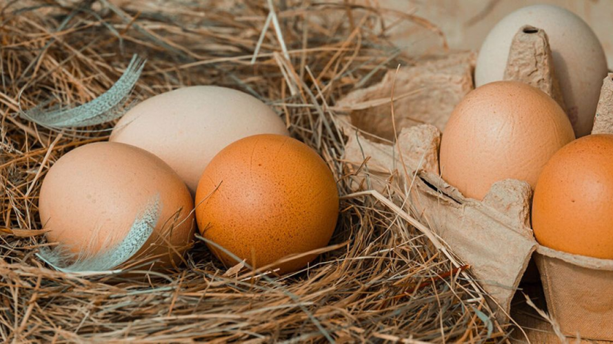 Яйця не винні: які продукти підвищують рівень холестерину в крові