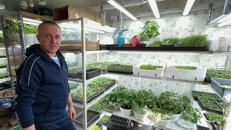 Подружжя з Волині поділилося секретами вирощування міцної розсади