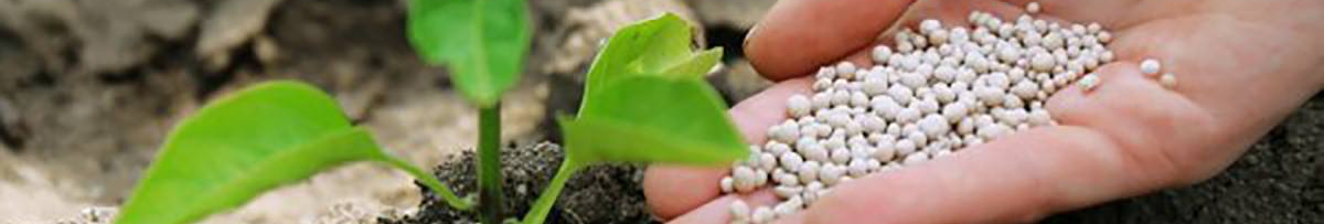 Сад і город «вистрілять» з першого тепла: якими добривати варто запастися до весни