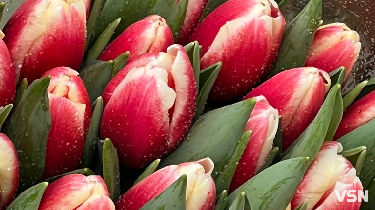 Скільки коштують квіти на День закоханих у Луцьку?