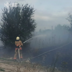 У трьох районах Волині досі гасять торфовища: за добу ліквідували чотири пожежі в екосистемах