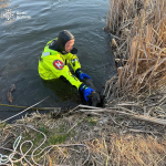 На Волині з крижаної води врятували собаку