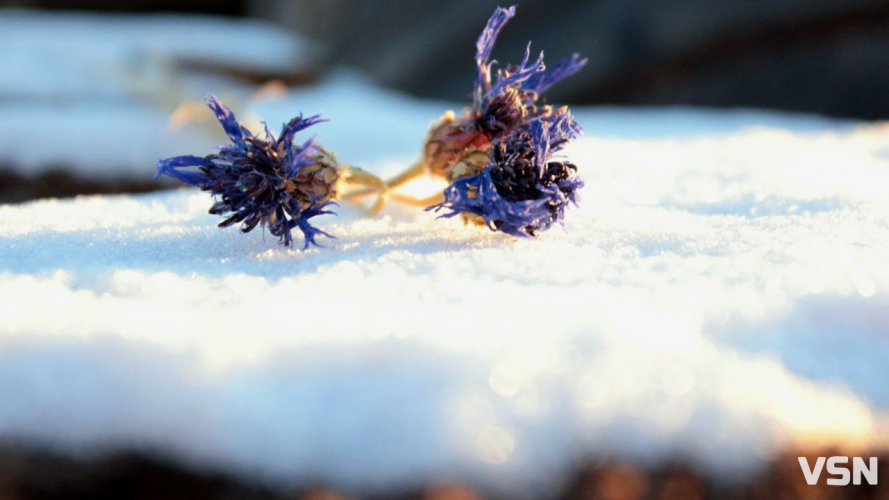 На Різдво Волинь накриє сильний мороз і місцями сніг