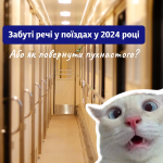 Кіт, м'ясорубка та 6 тисяч доларів: найкурйозніші загублені речі пасажирів «Укрзалізниці»