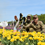 Життя попри війну: як «Волинська Голландія» приймала військових
