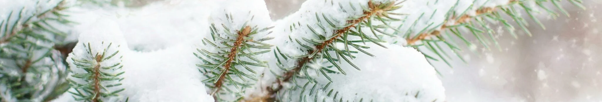Морози й сніг на Новий рік: якою буде погода у святкову ніч