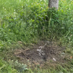 вибух у Золочеві