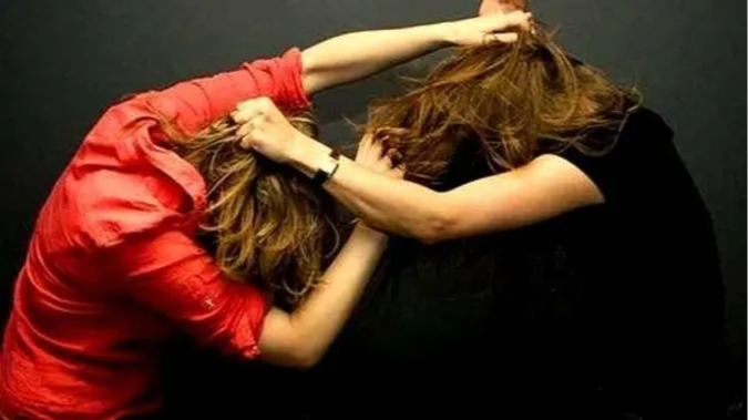 Гіллям по руках і спині: на Волині сусідки побилися через стежку