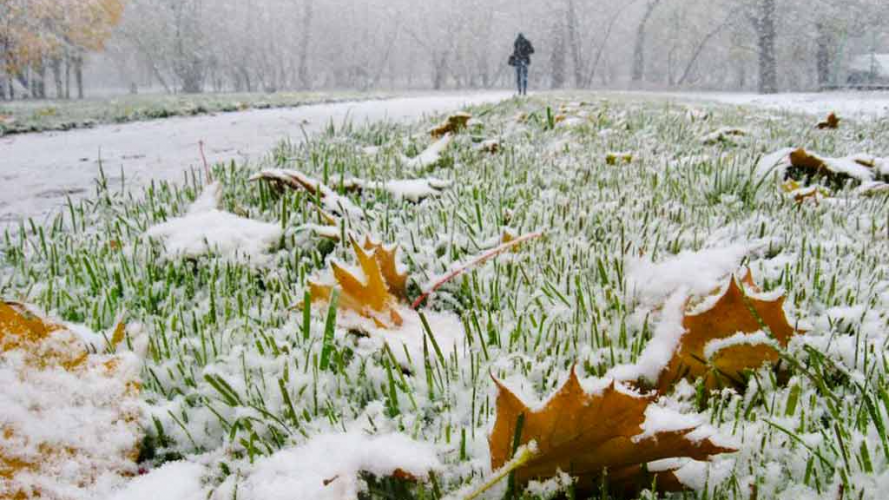 На Волині випав перший сніг