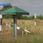 Двоє братів-баптистів на Волині хотіли переправити чоловіка до Білорусі: що відомо