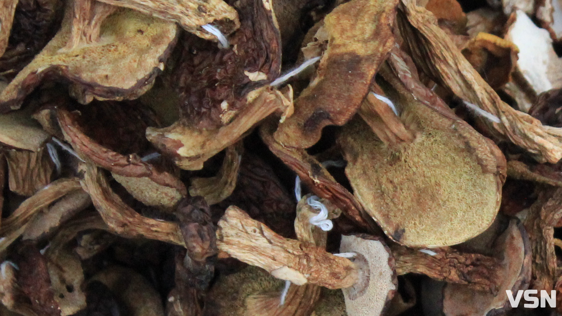 Дорожчі за м'ясо: скільки коштують сушені гриби на ринку у Луцьку?