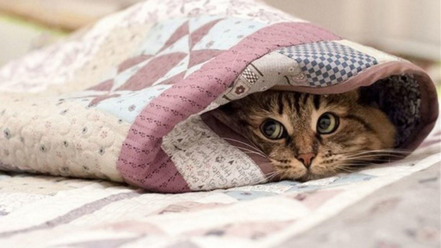 прогноз погоди, похолодання в україні