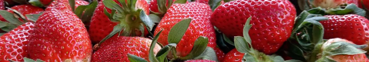 Весна вже на ринку: на Волині продають першу полуницю та розсаду — які ціни