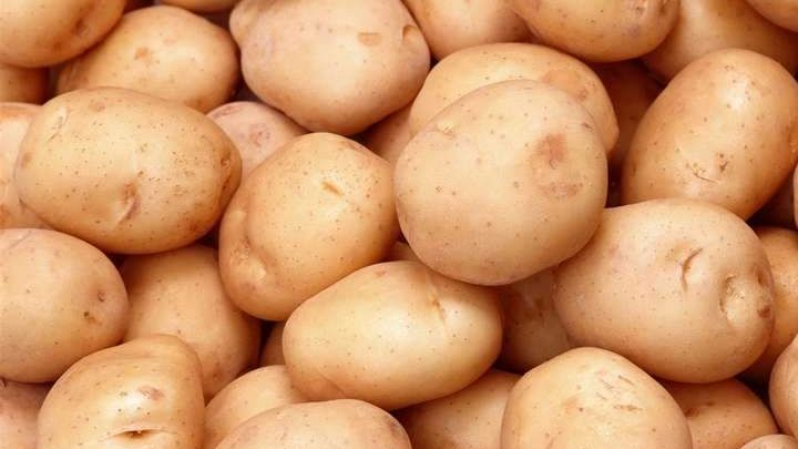 Найбільш врожайні сорти картоплі: з одного куща — декілька відер