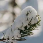 На Волинь повертаються сильні морози: синоптики попередили про різке похолодання