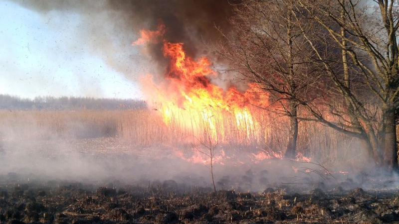 Рятувальники Волині за добу ліквідували чотири пожежі в екосистемах