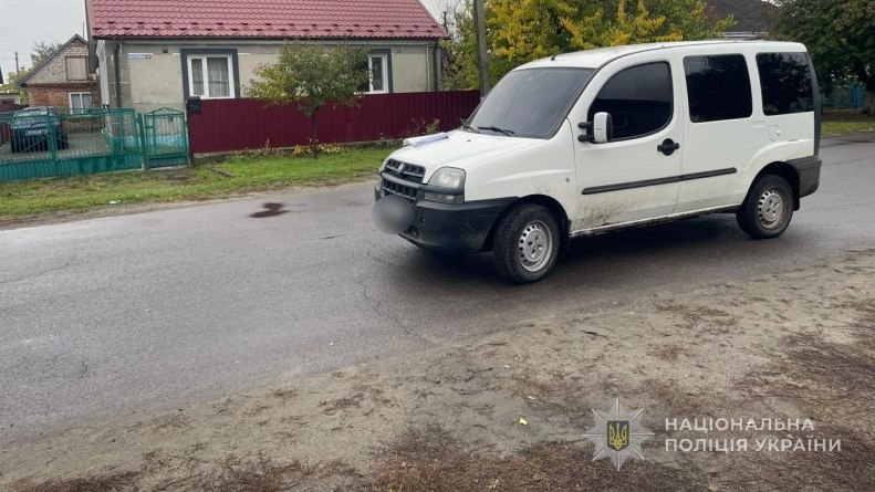 У Луцькому районі п'яний водій збив 86-річну жінку, вона в реанімації