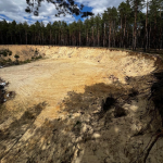 Незаконний кар’єр у лісі: на Волині видобули тисячі кубів піску