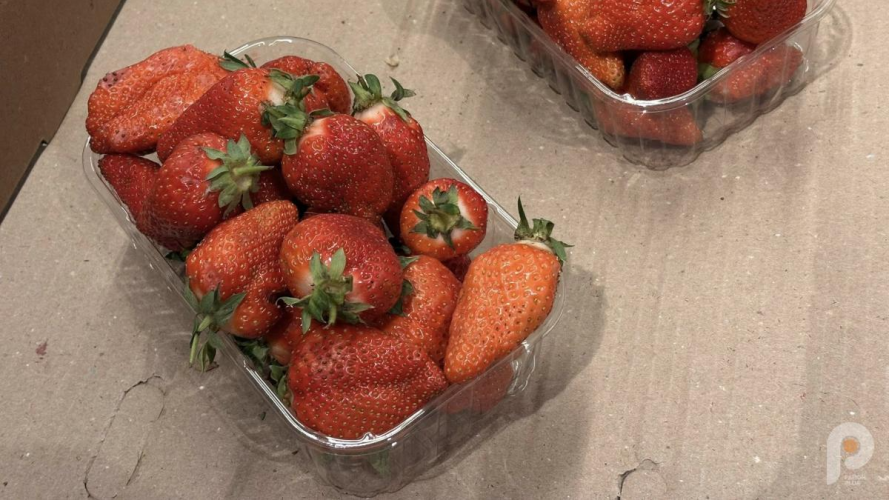 На Волині стартував сезон продажу полуниці: скільки коштує кілограм ягоди