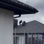 «Бери ствол, щас будем еба*ить по ногам»: на Волині працівники ТЦК скинули чоловіка з даху