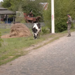 «Весілля не було давно»: як на межі двох областей живе волинське село Майдан-Липненський