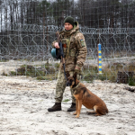 Прикордонник із Тернопільщини служить на Волині разом із бельгійською вівчаркою