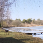 14 гектарів біля води «для своїх»? У Сирниках готують землю під сумнівний спортивний проєкт