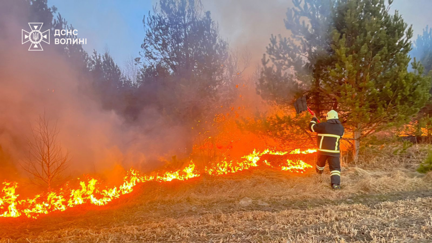 На Волині протягом доби вигоріло близько 16 гектарів сухої трави