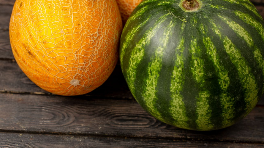 Коли сіяти кавуни та дині у 2026 році: ці дати вирішують усе