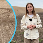 На Волині підлітки влаштували «гонки» полем і знищили 3 гектари буряків