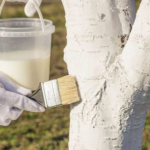 побілка дерев у березні