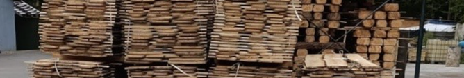 На Волині викрили банду «чорних лісорубів»: вилучили пилорами та сотні колод