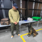 Дві спроби за добу: на Волині службові собаки викрили перевізників наркотиків