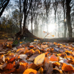погода в Україні