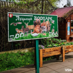 Спека повернулася на Волинь: як рятуватимуть тварин у Луцькому зоопарку