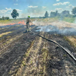 На Волині через підпал стерні ледь не згоріло зернове поле: палія оштрафували