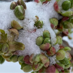 Погода в Україні на 11-12 квітня