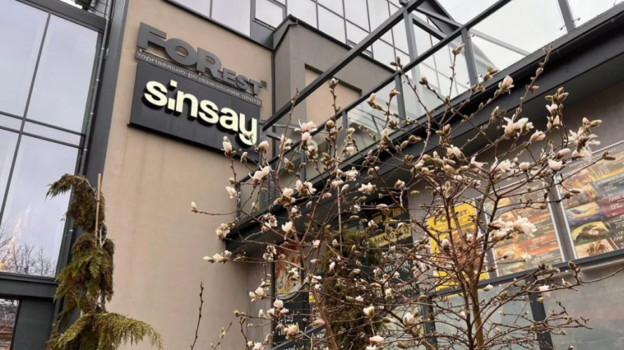 На Волині розцвіла магнолія - перші фото