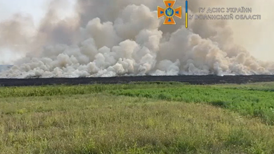 «Скільки там загинуло птахів»: розповіли про наслідки масштабної пожежі поблизу Луцька
