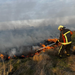 Через підпали на Волині за добу вигоріло понад 12 гектарів сухостою