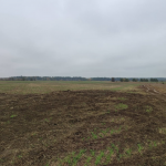 На Волині невідомі пошкодили посіви на полях: господарство підраховує збитки